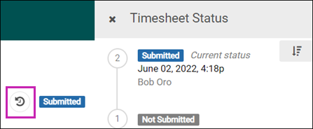 Timesheet Status History icon