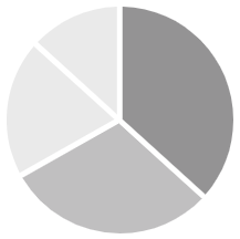 The placeholder for pie visualizations in Cognos Analytics