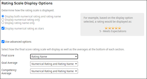 Performance Review Template Details Rating Scale Display Options