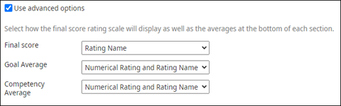 Performance Review Template Details Use Advanced Options