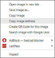 Screenshot that appears after right-clicking on the public image. The Copy Image Address option is highlighted.