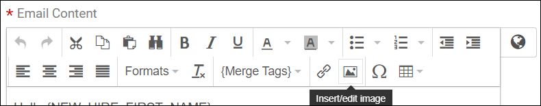 Email taskbar showing the Insert/Edit Image icon highlighted.