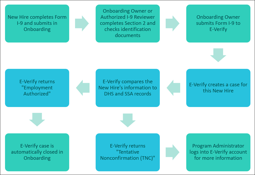 Image displays a flowchart that provides an overview of the E-Verify process in Onboarding.